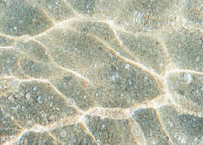 Heliophilia Koundouros