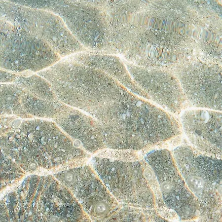 Heliophilia Koundouros